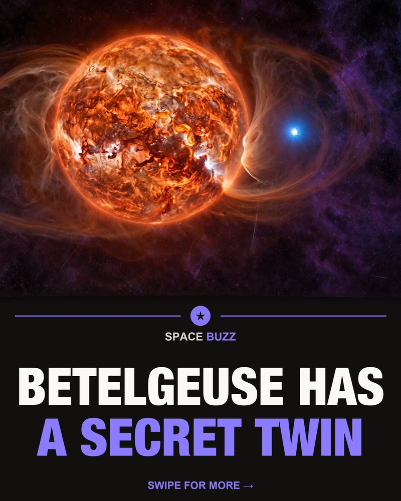 SpaceBuzz carousel cover
